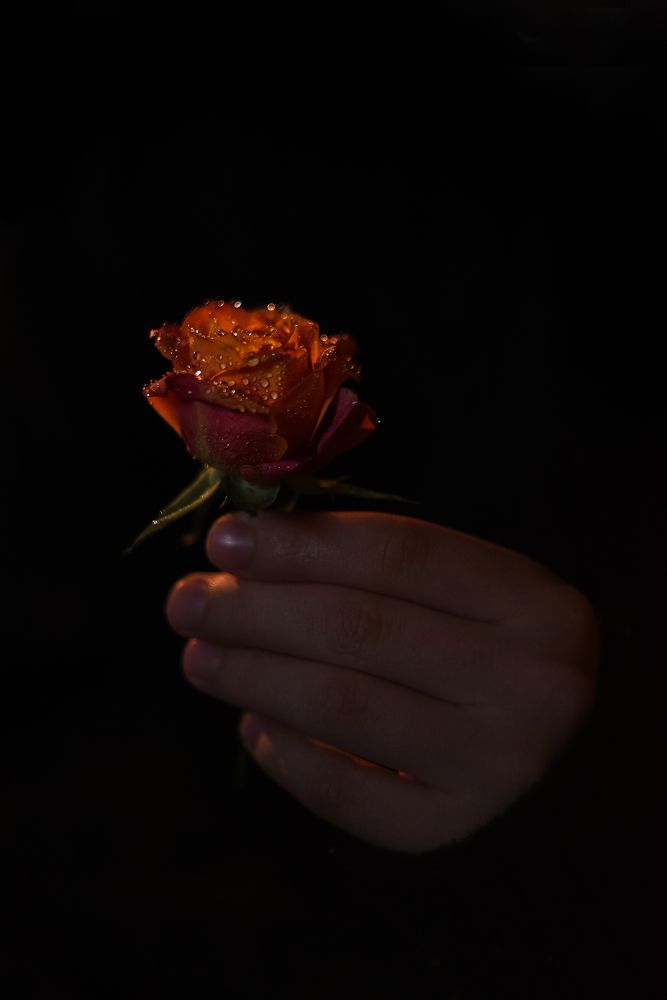 Photograph by Оксана Корепанова