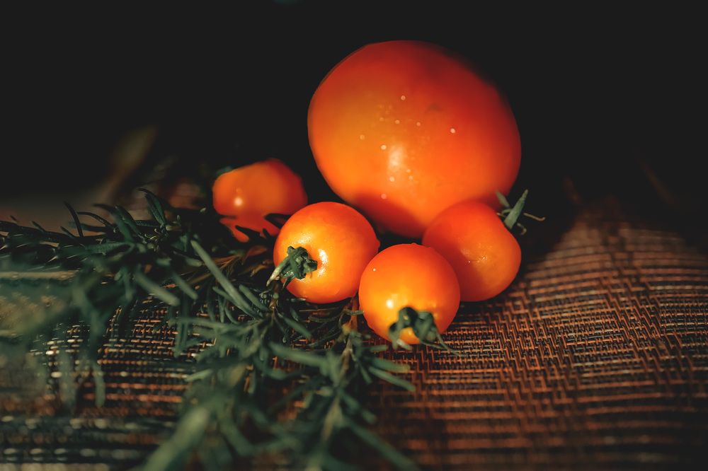 Фотография автора motomoto std