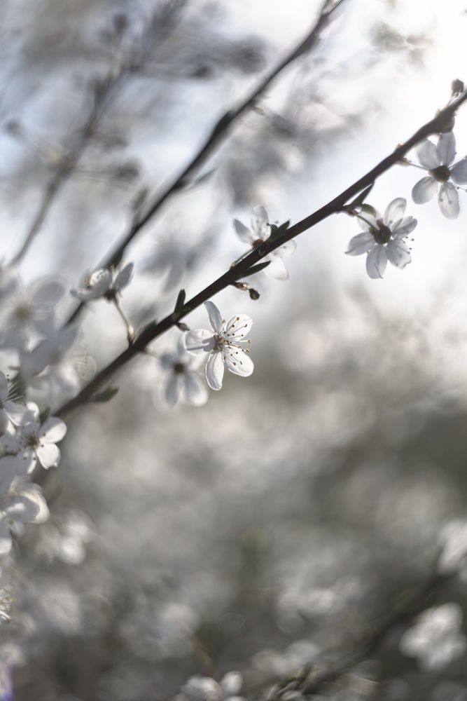 Photograph by Оксана Корепанова