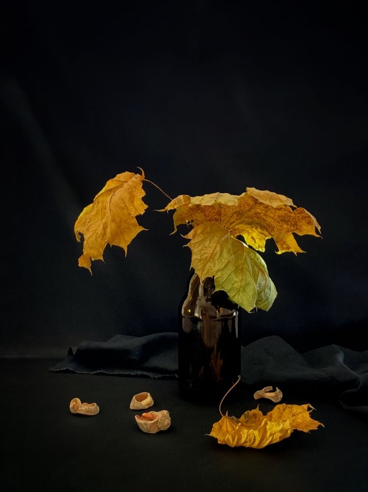 Photograph by Татьяна Семёнова