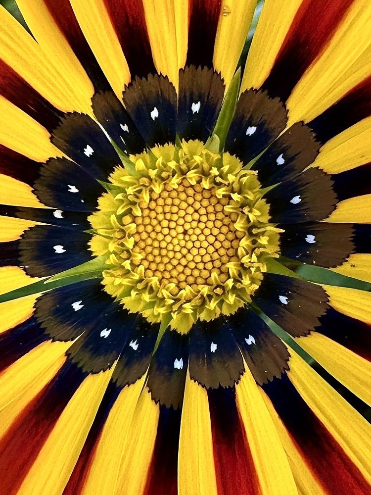 Photograph by Irina Kolotova