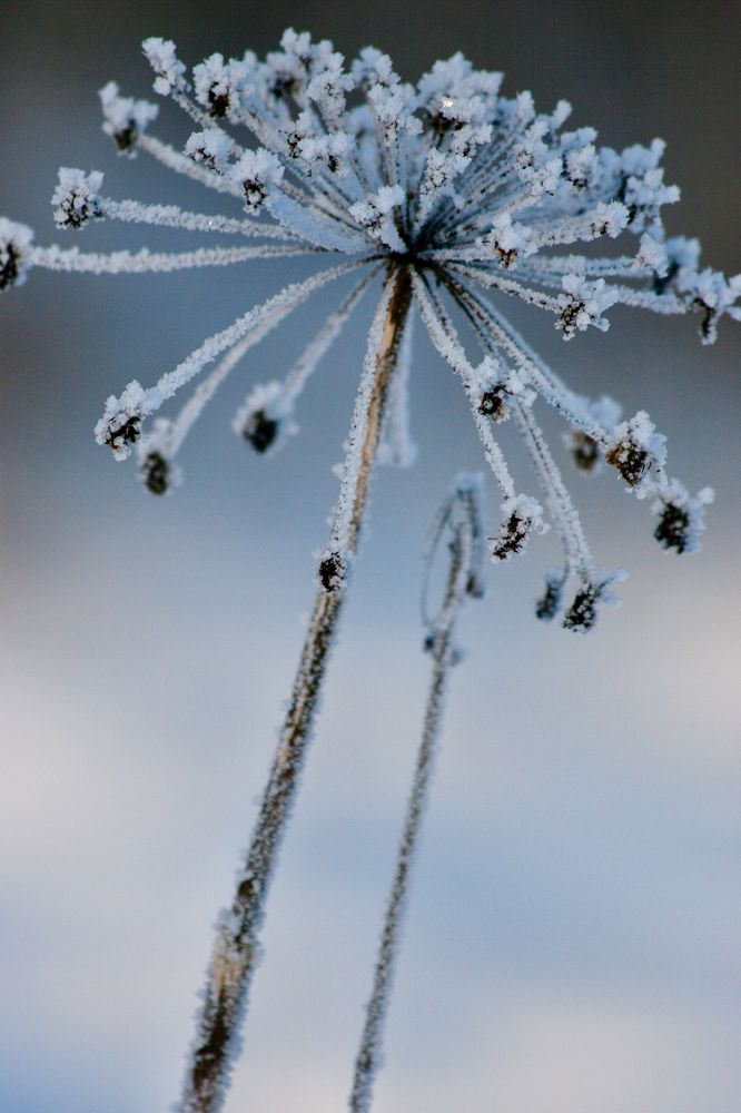 Фотография автора Galina Sa