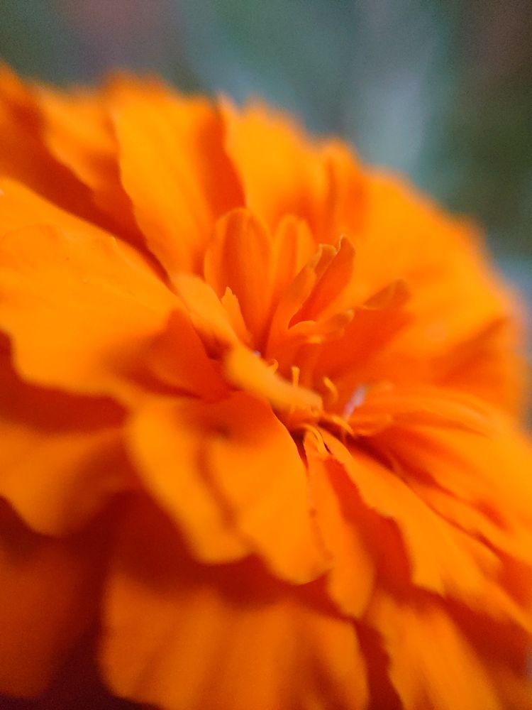 Photograph by K.AKILA NIDUSH