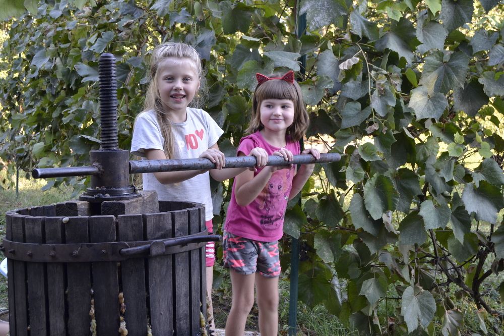 живые человеки