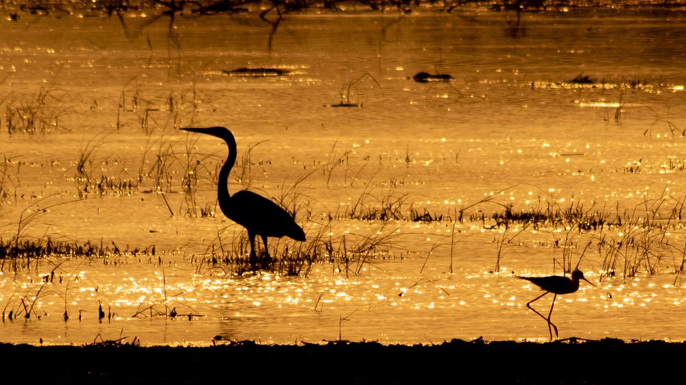 Photograph by Pushparaj Natarajan