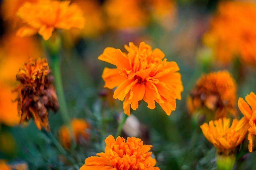 Photograph by Анна Захаренкова