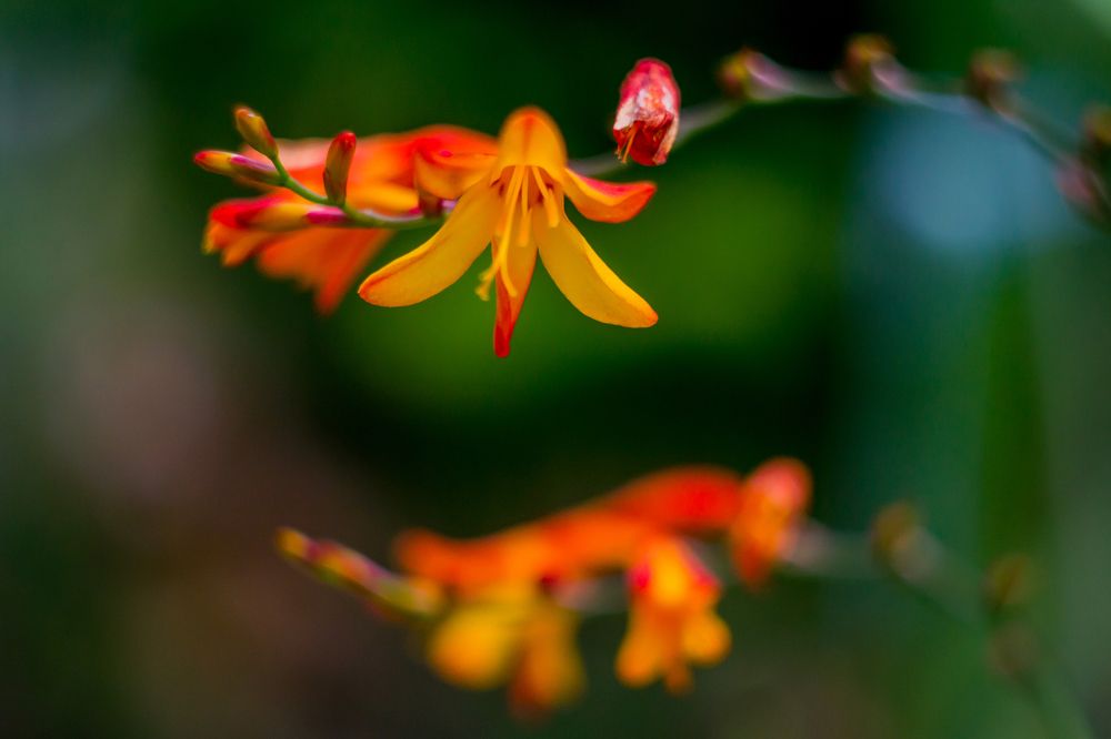 Photograph by Анна Захаренкова