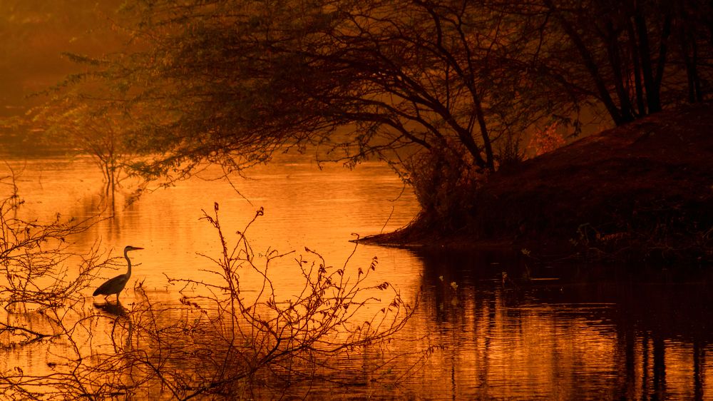 Photograph by Pushparaj Natarajan