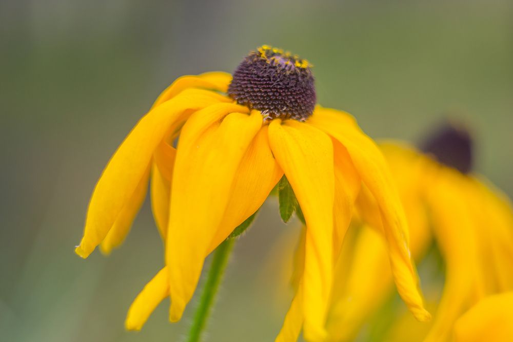 Photograph by Анна Захаренкова