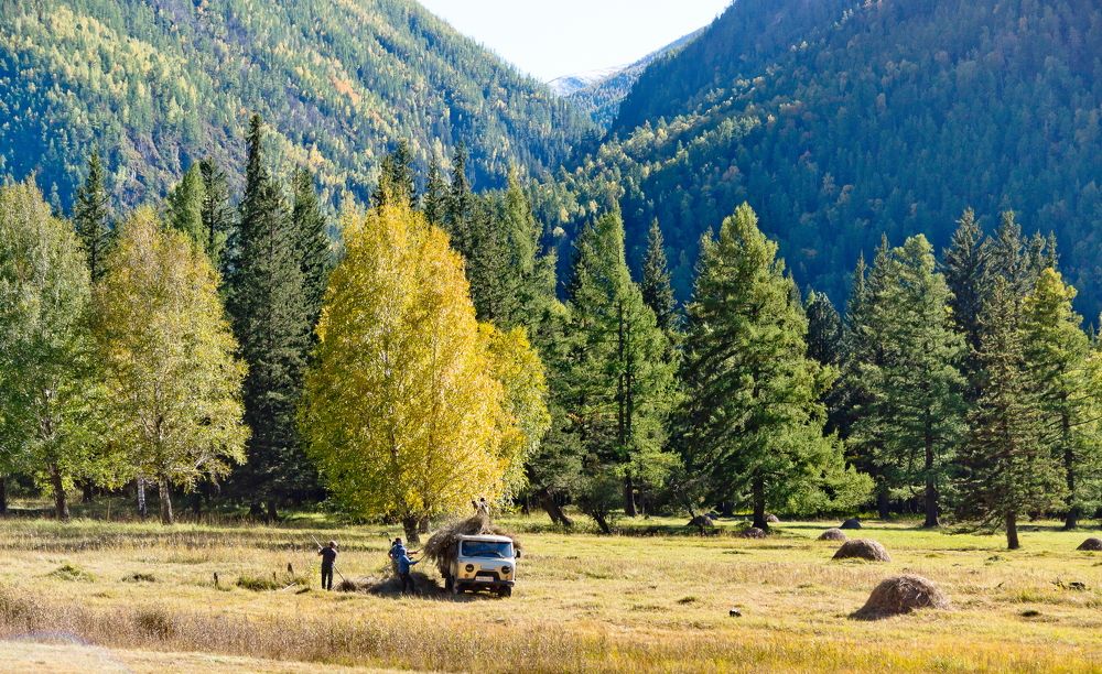 Photograph by Анатолий Стафичук