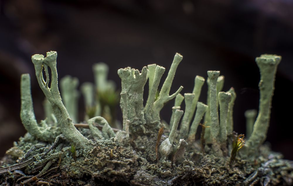 Photograph by Василий Либко