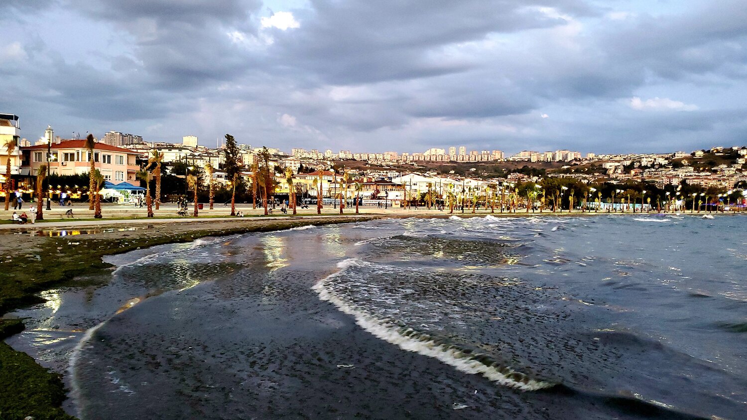 Photo #9560422