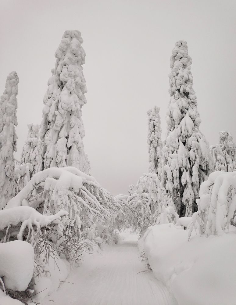 Photograph by Aleksandr Kolonsky