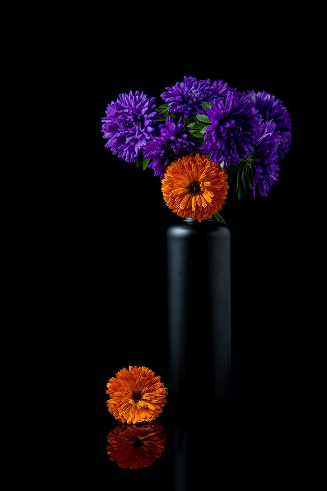 Photograph by Елена Овчинникова