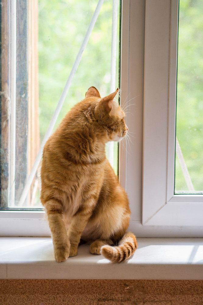 Photograph by Ирина