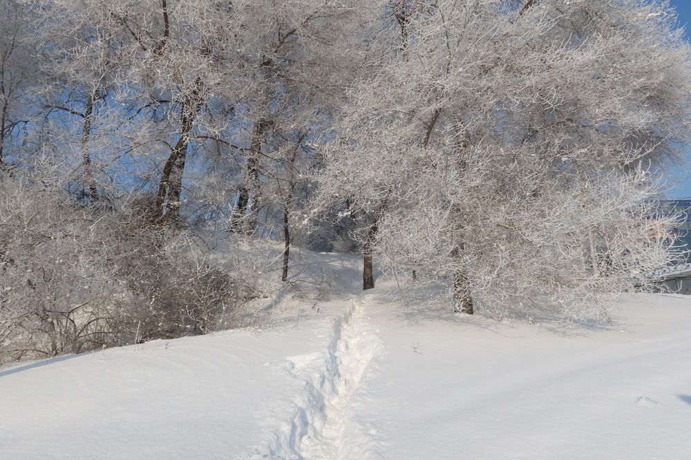 Тропинка в снегу