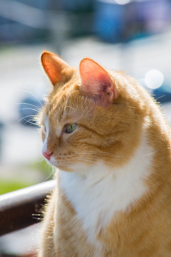 Photograph by Ирина