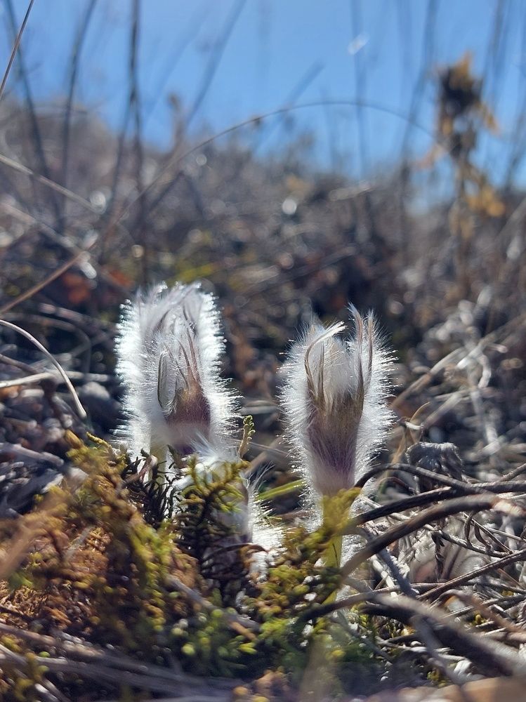 Photograph by Наталья Дубовкина
