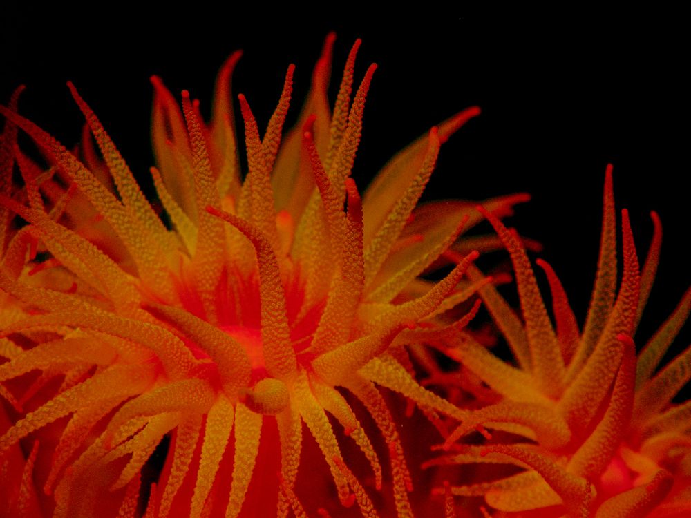 Photograph by Luiz Augusto Magina