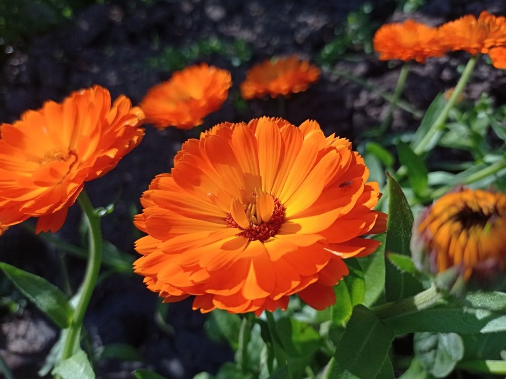 Photograph by Ирина Немкина