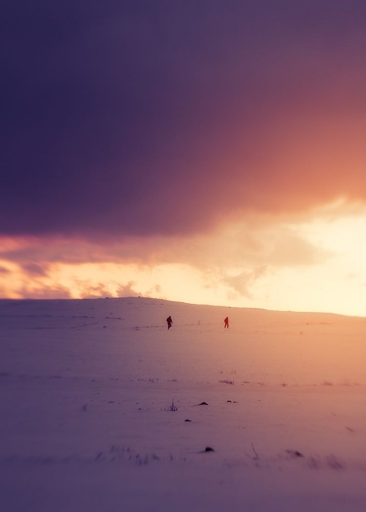 Reaching for the Light