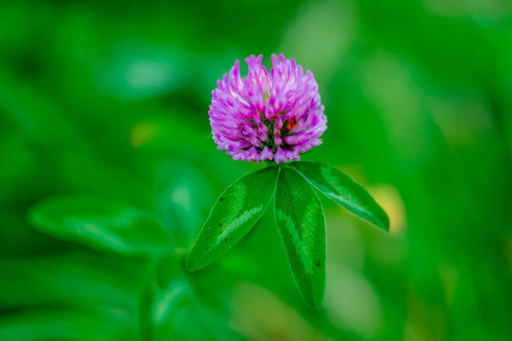 Photograph by Анна Захаренкова