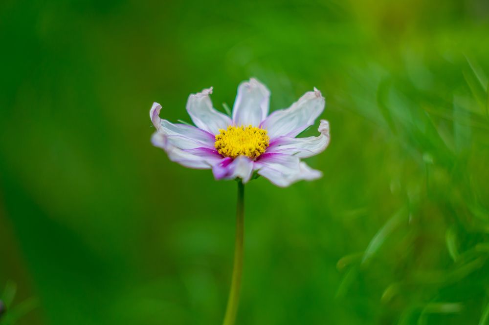 Photograph by Анна Захаренкова