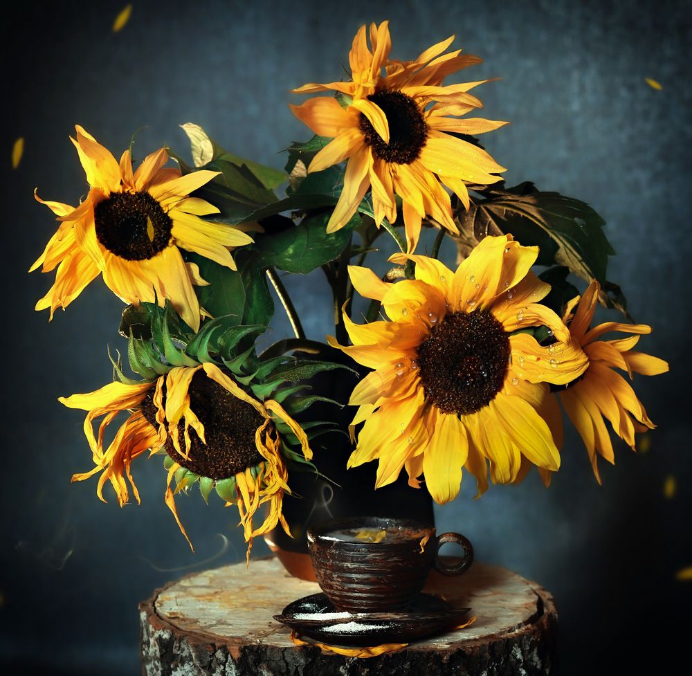 Photograph by Marina Ivanova