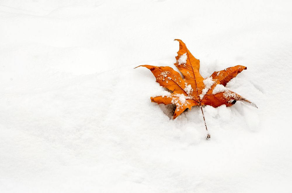 Photograph by Sahar Jafari