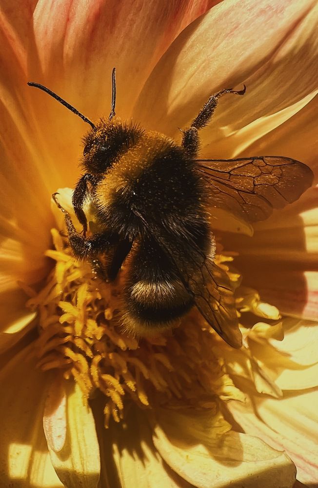 Photograph by Oxana Petlina