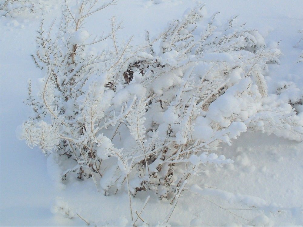 Photograph by Галина