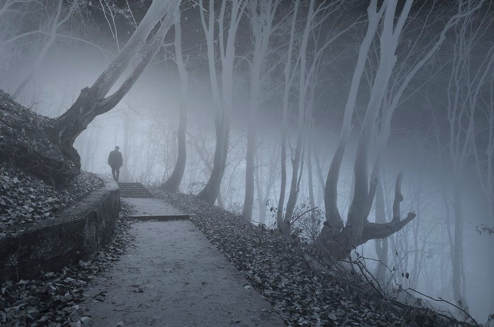 Прогулка в туманном лесу