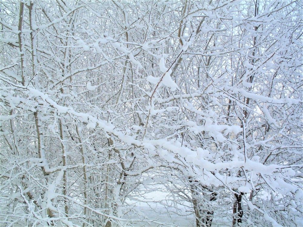 Photograph by Галина