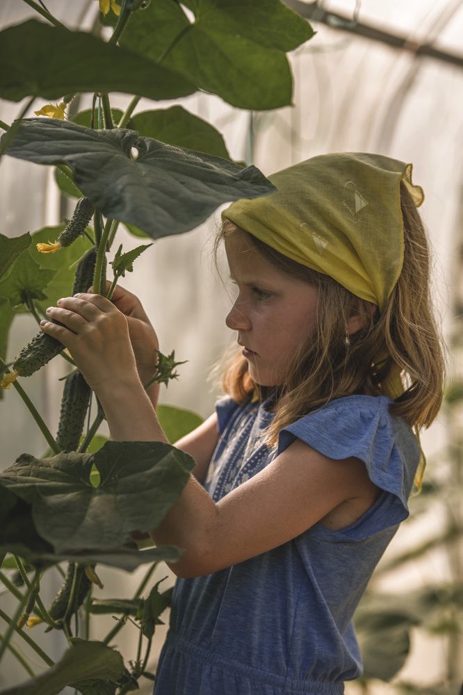 Photograph by Светлана Ермакова