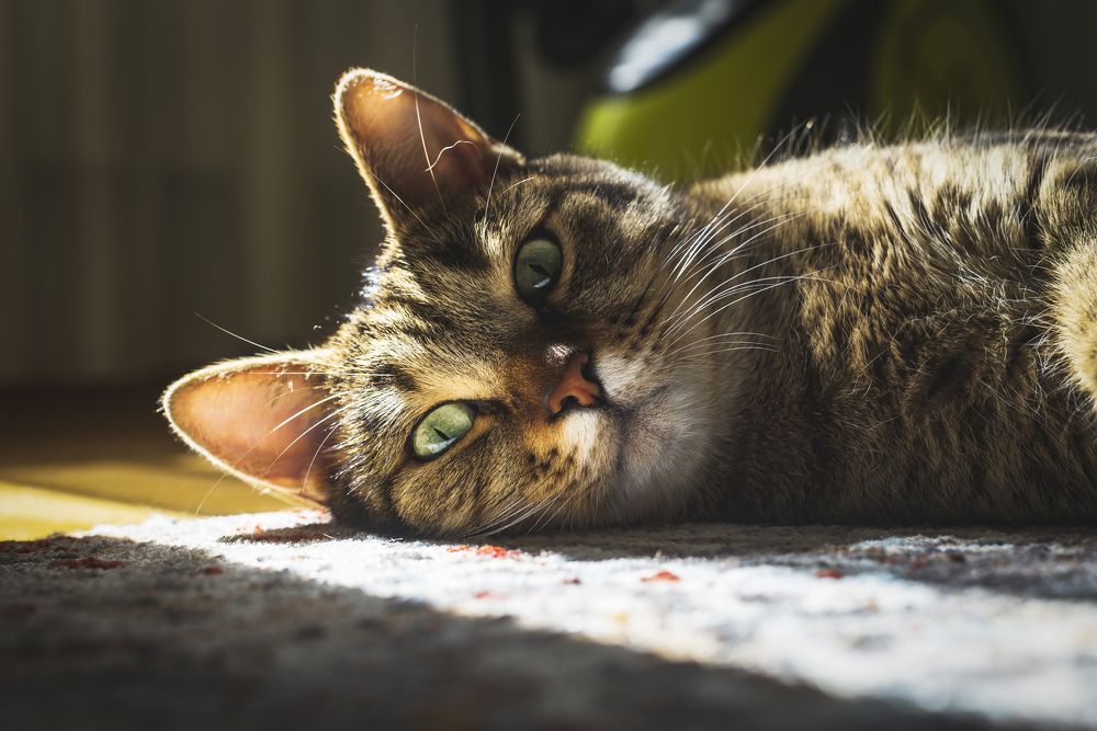 Пребывая в легком недоумении