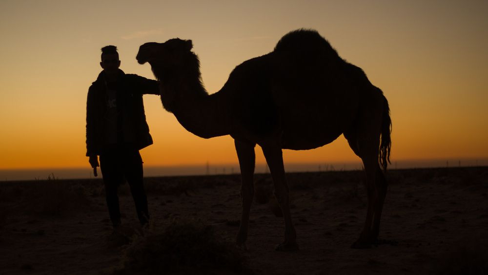 Photograph by Assal mouadh