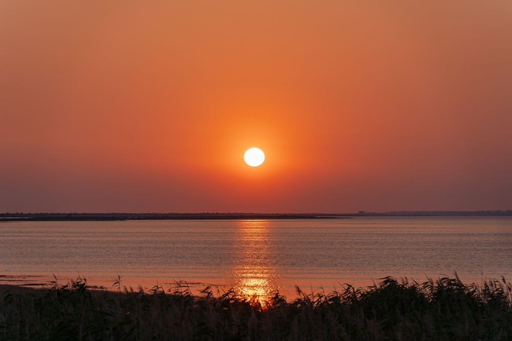 Photograph by Анна Огуло