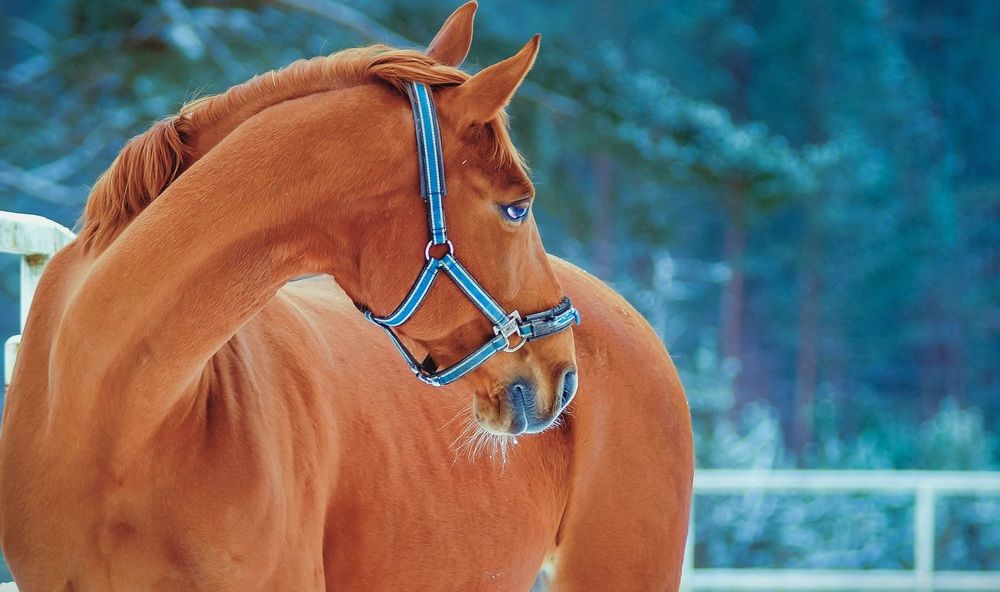 Photograph by Татьяна Шандромайло