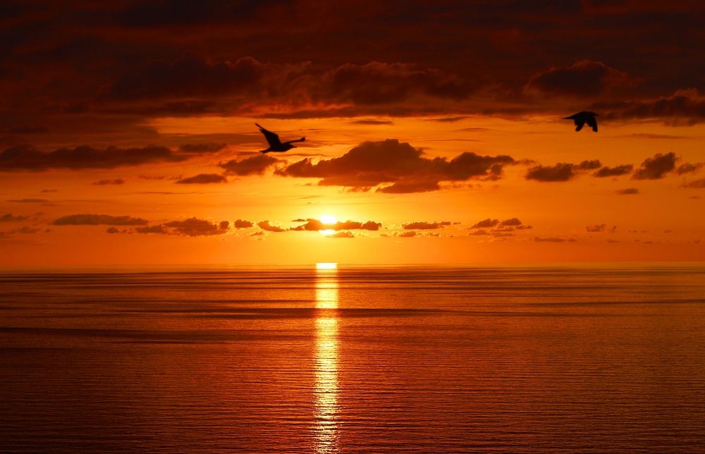 Photograph by Esin Sağır