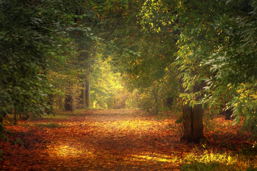 Photograph by PYATNITSKIY ANDREY