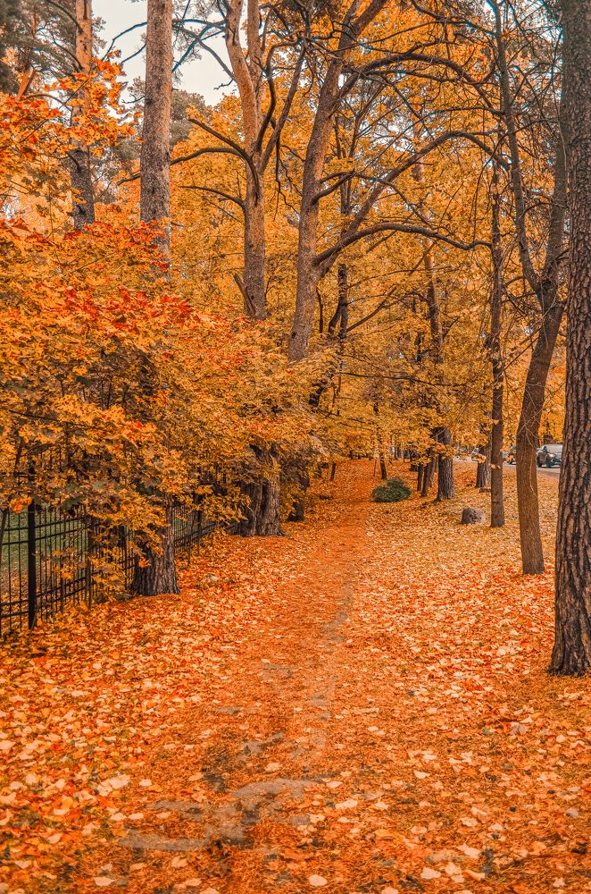 Photograph by Сергей Белокуров