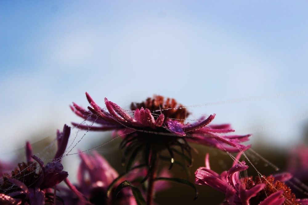 Photograph by Дарья Ермакова