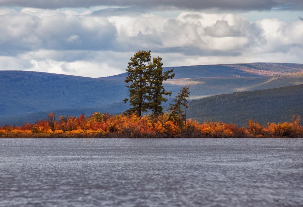 Photograph by Портных Дмитрий