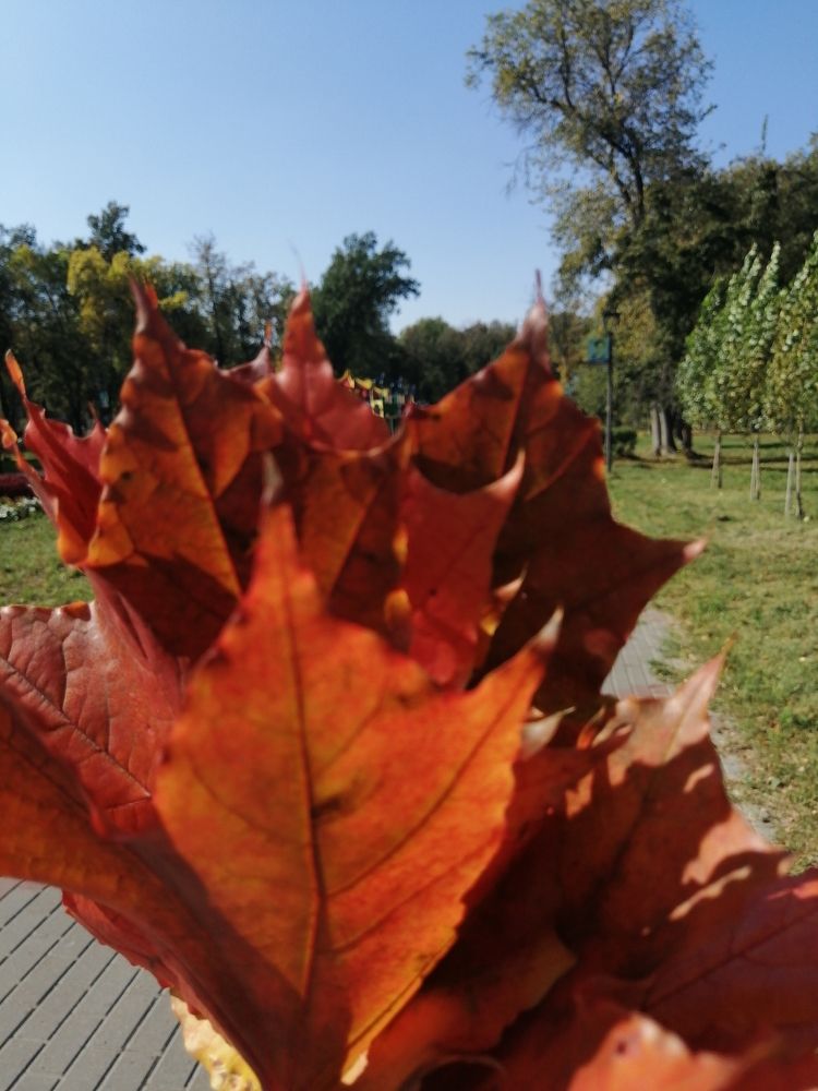 Фотография автора Татьяна Савранчук