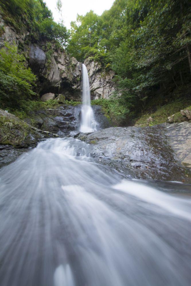 Фотография автора Ali VARILCI