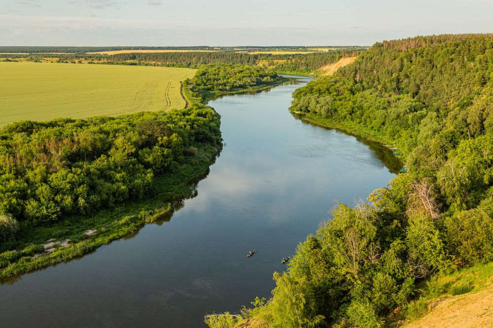 Фотография автора Алексей Тимофеев