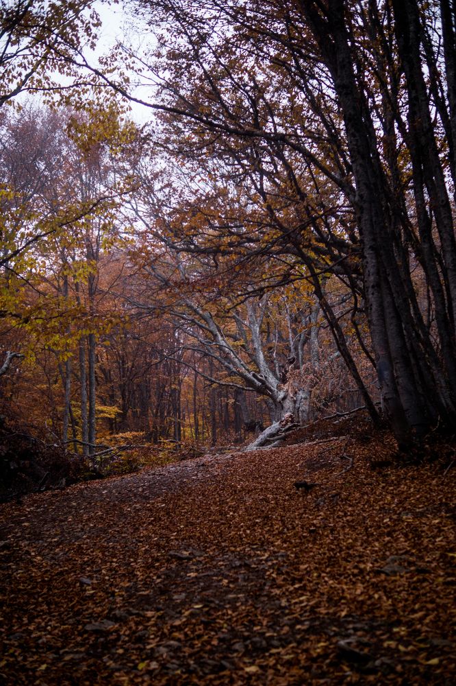 Photograph by Анна Изюмская