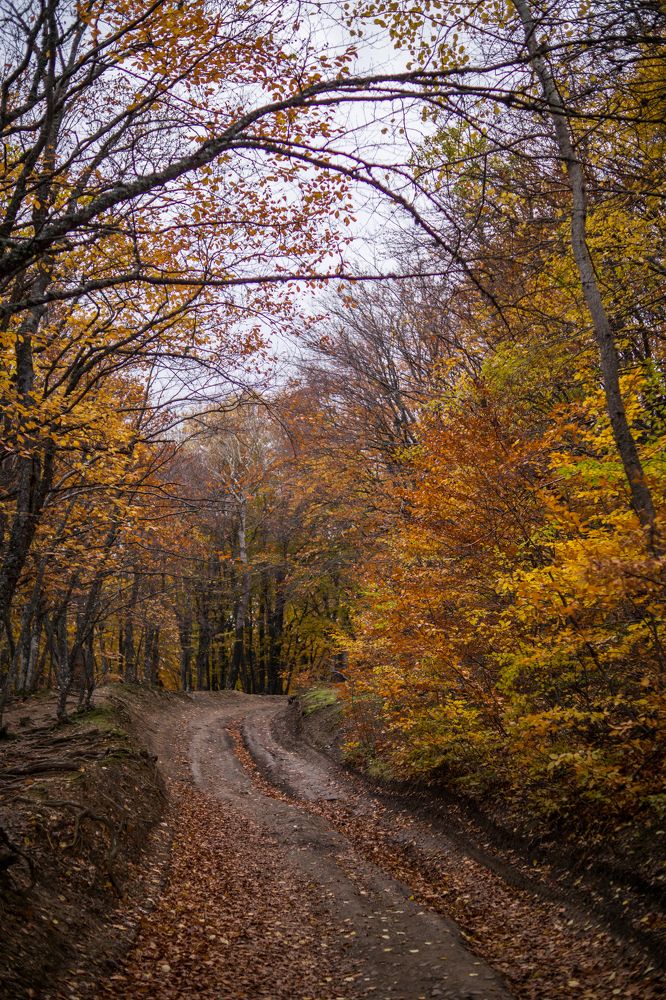 Photograph by Анна Изюмская