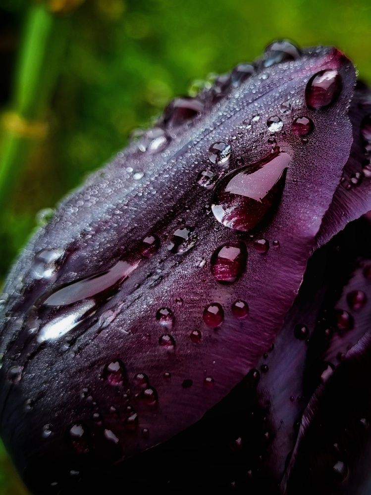 Photograph by Hanna Bourne