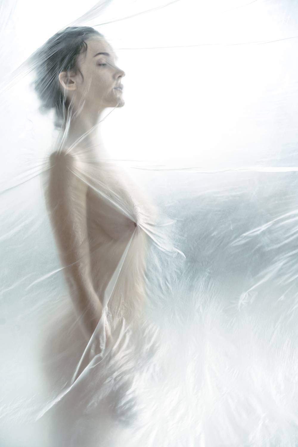 Photo #9561071